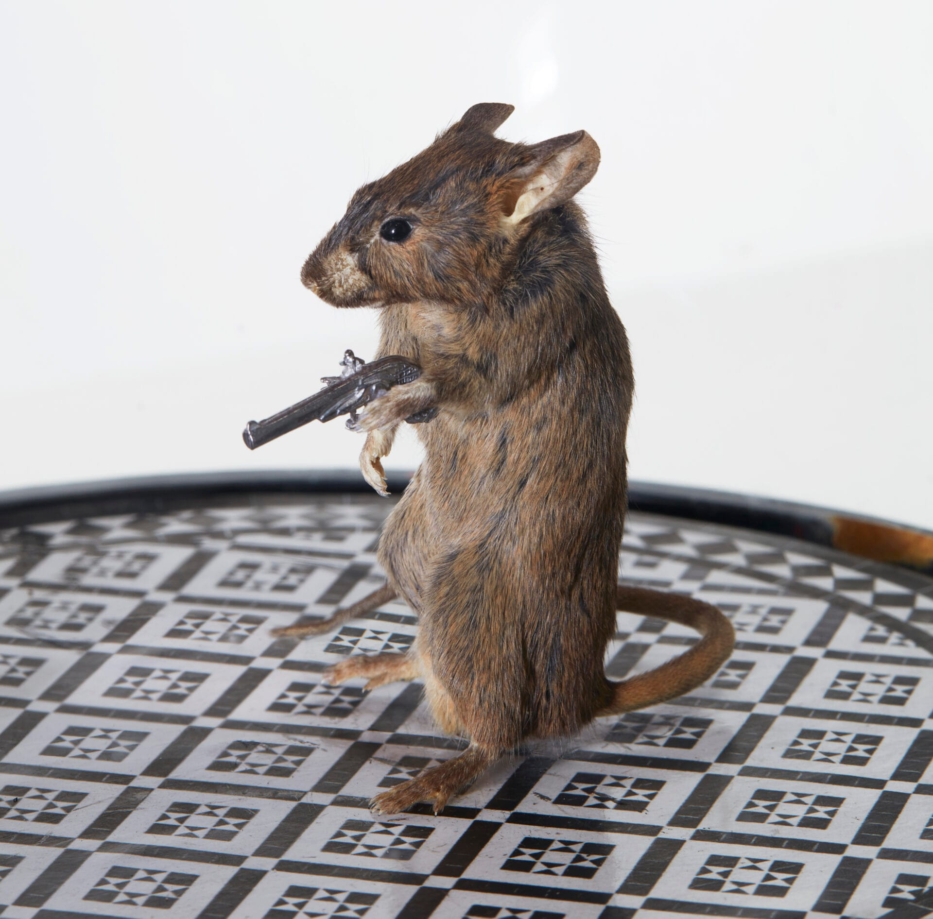 Insta wide wgun 1 scaled